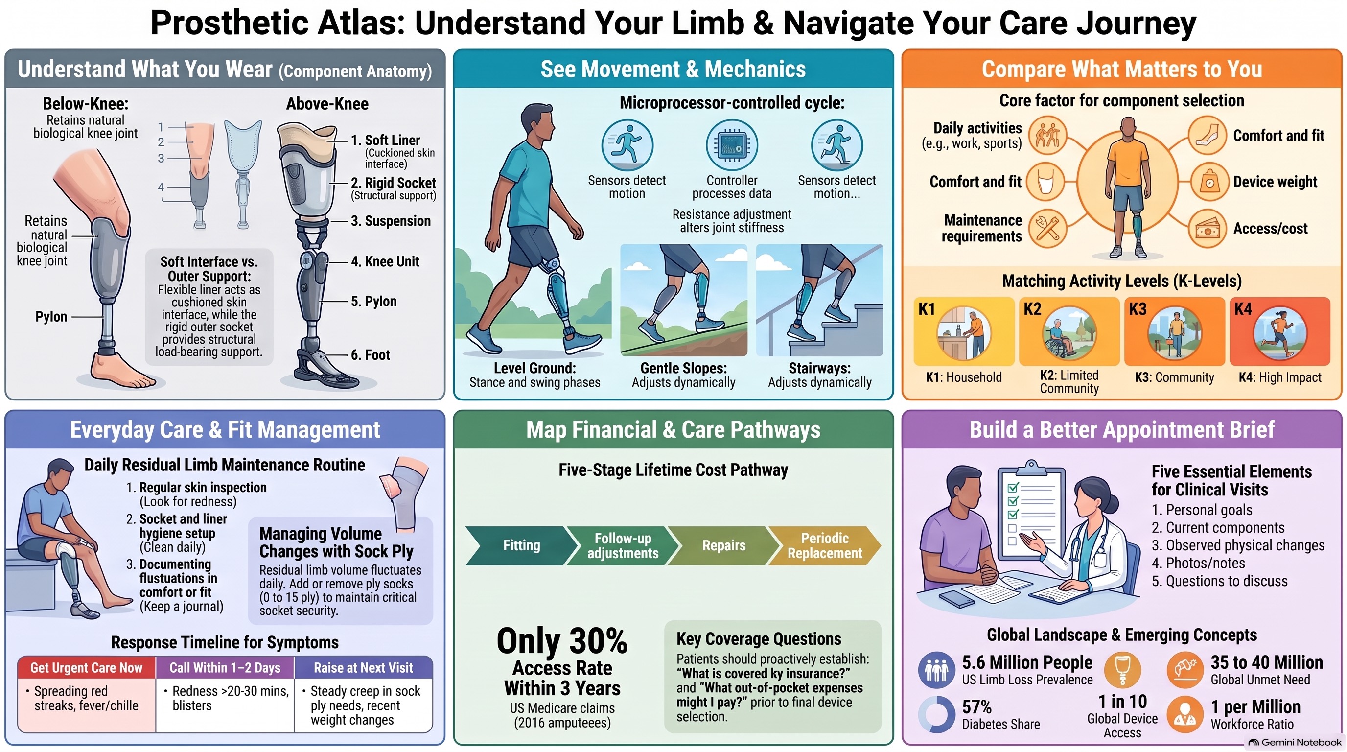 Illustrated care journey in six panels: anatomy, mechanics, comparison, daily care, cost, and a brief.