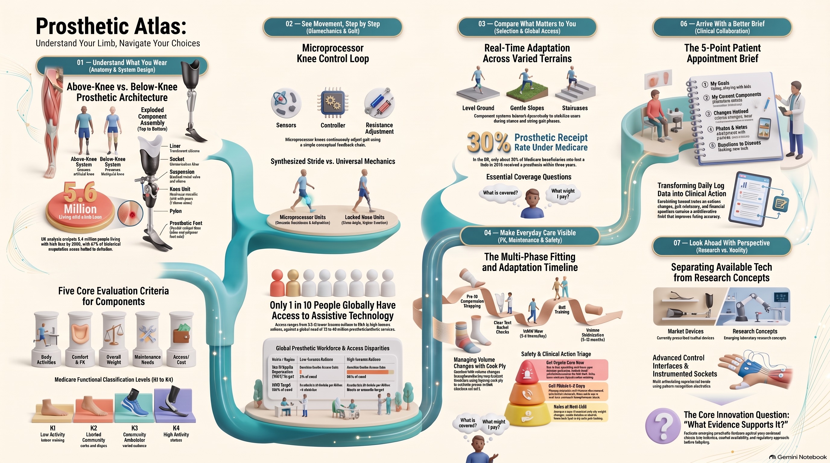 Illustrated guide in seven numbered stages, from the prosthesis itself to a conversation with a prosthetist.